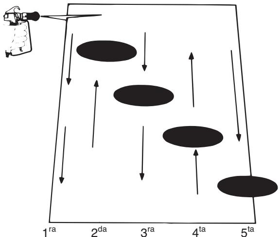 TITAN 640I - Técnica de rociado - 3
