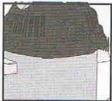 TITAN TTB351VAC - FUNCTION SOUFFLEUR - 1