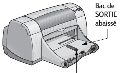 HEWLETT PACKARD 950C - Bac à photos - 2