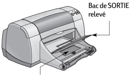 HEWLETT PACKARD 950C - Bac à photos - 1
