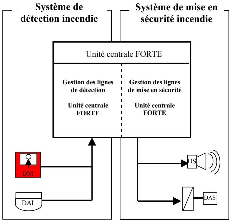 DEF CASSIOPEE FORTE C - A PRESENTATION - 1