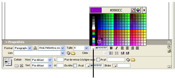 MACROMEDIA DREAMWEAVER MX 6 - Pour désir une couleur dans Dreamweaver : - 1