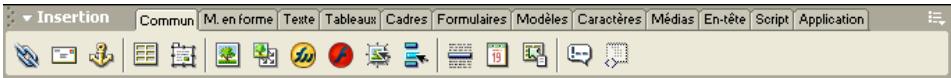 MACROMEDIA DREAMWEAVER MX 6 - Pour contourer cette boite de dialogue et insérer un espace réservé vide : - 1