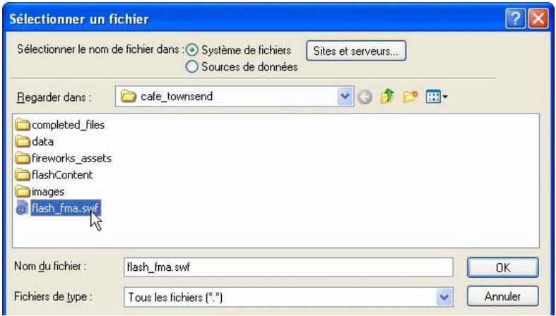 MACROMEDIA STUDIO 8-DCOUVERTE DE STUDIO 8 - Insérez et lisez un fichier flash - 2