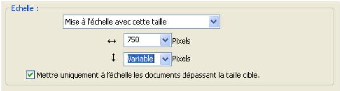 MACROMEDIA STUDIO 8-DCOUVERTE DE STUDIO 8 - Traitement des fichiers d'images de grande taille - 1