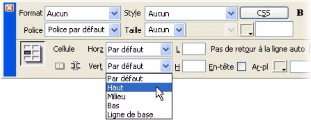 MACROMEDIA STUDIO 8-DCOUVERTE DE STUDIO 8 - Insertion du corps de texte - 3