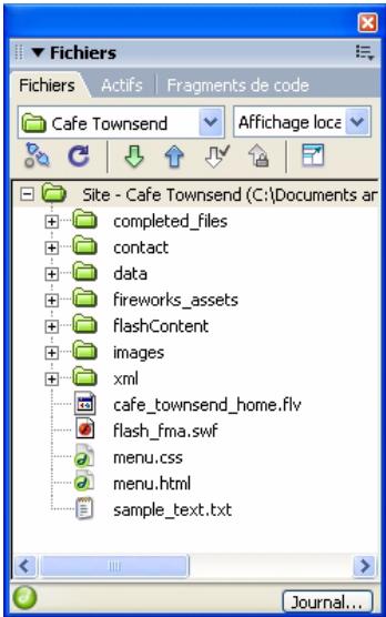 MACROMEDIA STUDIO 8-DCOUVERTE DE STUDIO 8 - Panneau fichiers - 1