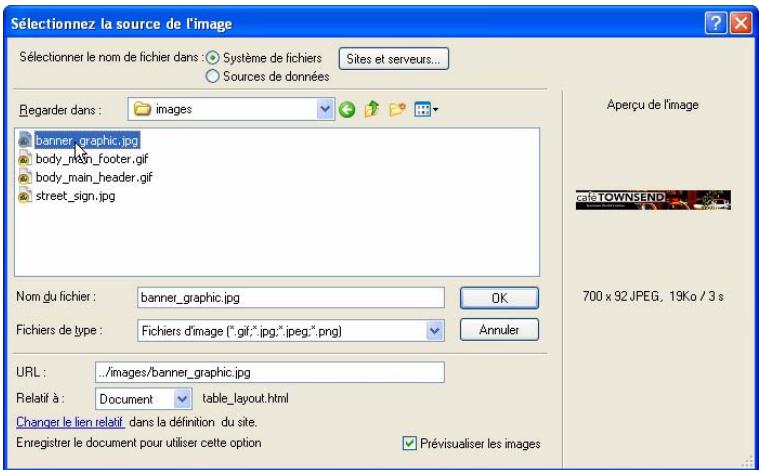MACROMEDIA STUDIO 8-DCOUVERTE DE STUDIO 8 - Remplacez l'espace réservé pour l'image - 2