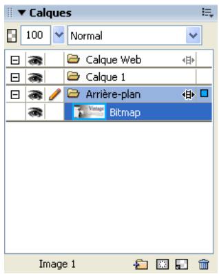 MACROMEDIA STUDIO 8-DCOUVERTE DE STUDIO 8 - Affichage de l'image exportée - 1