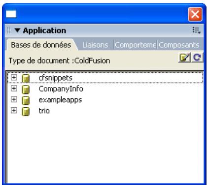 MACROMEDIA STUDIO MX 2004-A LA DCOUVERTE DE STUDIO MX - Définition des sources de données coldfusion - 1