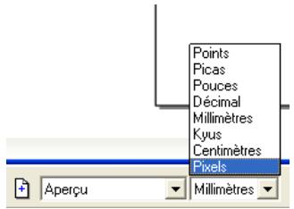 MACROMEDIA STUDIO MX 2004-A LA DCOUVERTE DE STUDIO MX - Personnalisation de freehand pour une sortie multimédia/web - 1