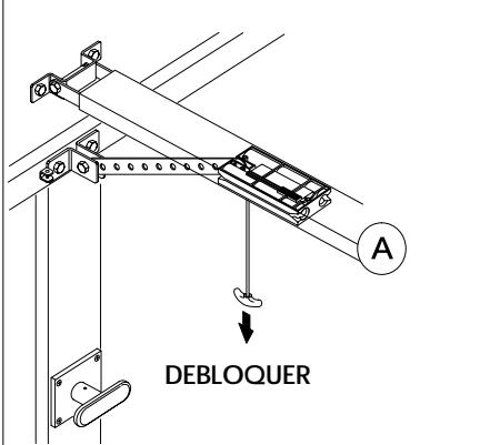 FAAC AUTOMATION 525 - Substitution de la LAMPE (fig.3). - 2