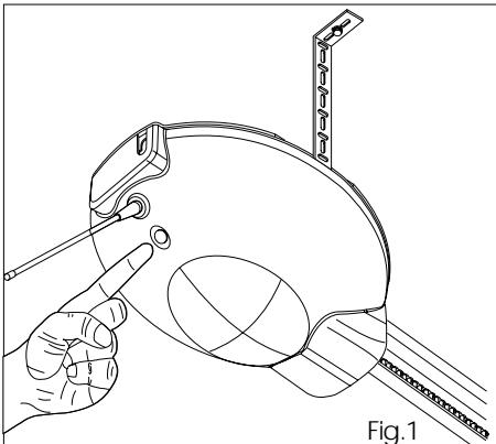 FAAC AUTOMATION 530 - Substitution de la lampe (fig. 3). - 1
