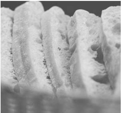 WHITE & BROWN WHITE & BROWN MP 546 LA TESSARA RECETTES - Etapes de préparation - 1