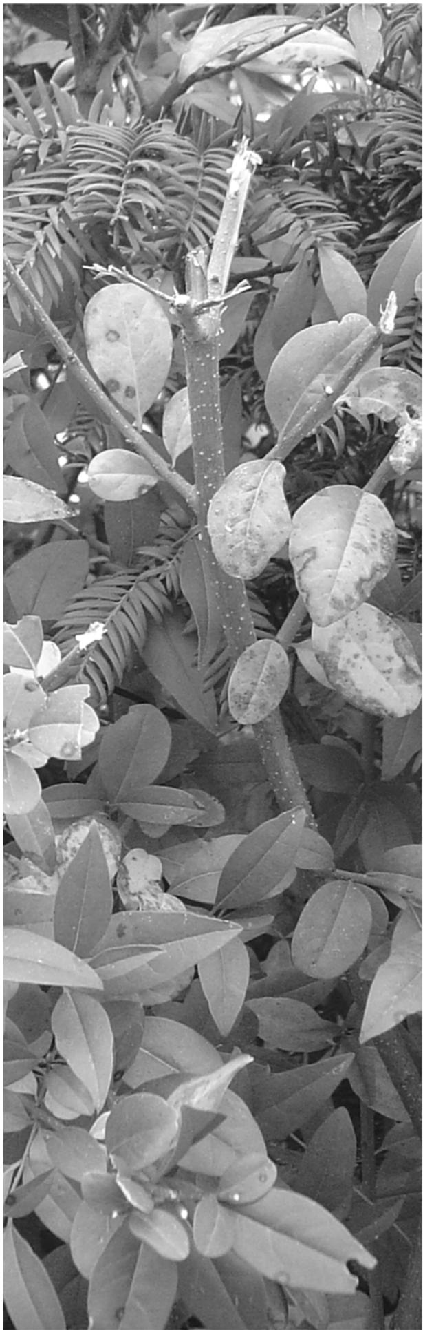 ATIKA 2800 W - Leveransomfattning - 1