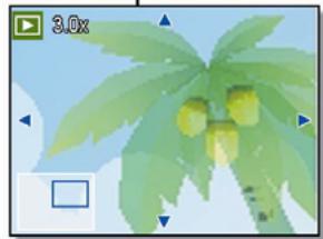 AGFA DC-733I - Agrandir les Photographies - 2