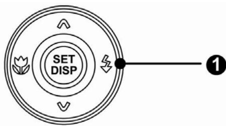 AGFA DC-733I - Utiliser le Flash - 1