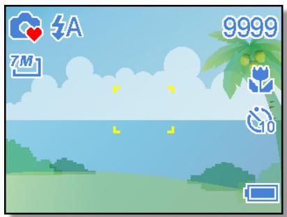 AGFA DC-733I - Utiliser le mode Q - 1