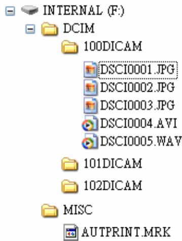 AGFA DC-733I - Structure de Dossier - 1