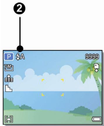 AGFA DC-733I - Utiliser le Flash - 2