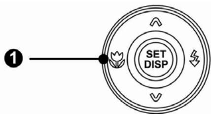 AGFA DC-733I - Utiliser le Mode Macro - 1