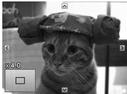 AGFAPHOTO COMPACT 103 - Zoom sur les images - 3