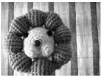 AGFAPHOTO COMPACT 103 - Utiliser le mode Enchères - 9