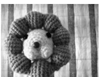 AGFAPHOTO COMPACT 103 - Utiliser le mode Enchères - 13