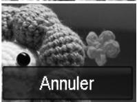 AGFAPHOTO COMPACT 103 - Utiliser le mode Enchères - 15