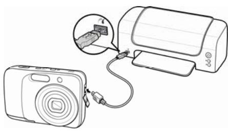 AGFAPHOTO COMPACT 103 - Connector l'appareil photo à une imprimante - 1