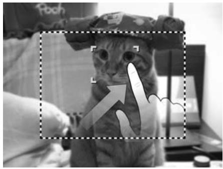 AGFAPHOTO COMPACT 103 - Comment utiliser la Capture tactile : - 1