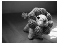 AGFAPHOTO COMPACT 103 - Utiliser le mode Enchères - 8