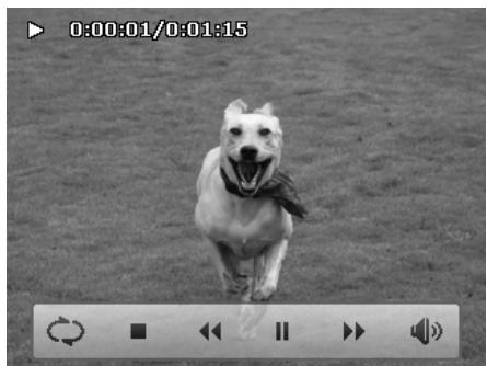 AGFAPHOTO COMPACT 103 - Lecture deVIDEOS - 1