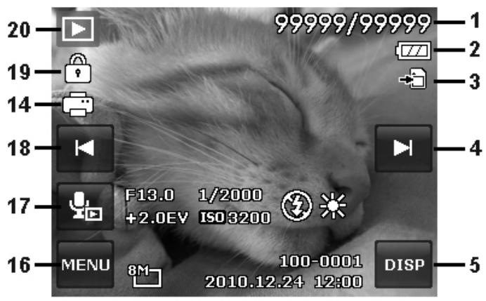 AGFAPHOTO COMPACT 103 - Disposition de l'écran en mode Lecture - 1