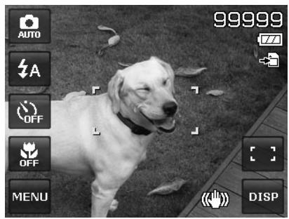 AGFAPHOTO COMPACT 103 - Utiliser le stabilisateur - 2