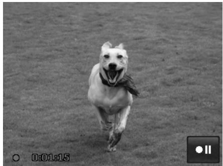 AGFAPHOTO COMPACT 103 - Appuyez sur le bouton mode Enregistrement à - 1