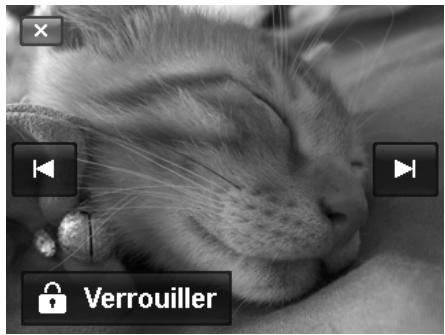 AGFAPHOTO COMPACT 103 - Protégger - 2