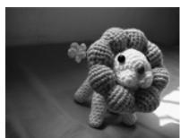 AGFAPHOTO COMPACT 103 - Utiliser le mode Enchères - 12