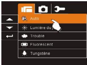 AGFAPHOTO MICROFLEX 102 - Balance des blancs - 2
