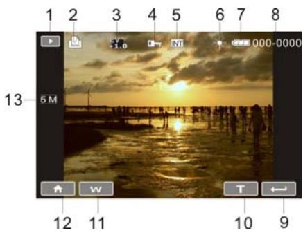 AGFAPHOTO MICROFLEX 102 - Mode d'enregistrement vocal - 2