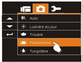 AGFAPHOTO MICROFLEX 102 - Balance des blancs - 2
