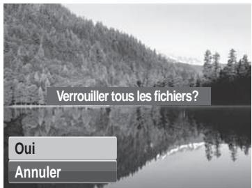 AGFAPHOTO OPTIMA 1 - Pour déverrouiller tous les fichiers : - 2