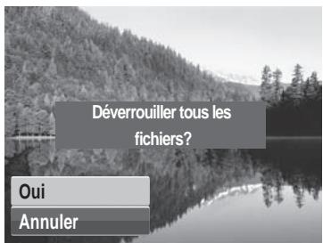 AGFAPHOTO OPTIMA 1 - Pour déverrouiller tous les fichiers : - 3