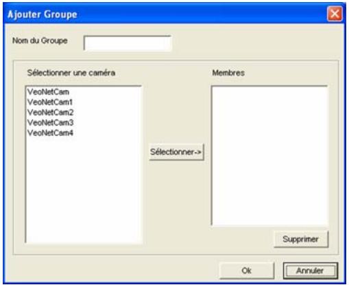 X10 VEO OBSERVER - Grouper - 1