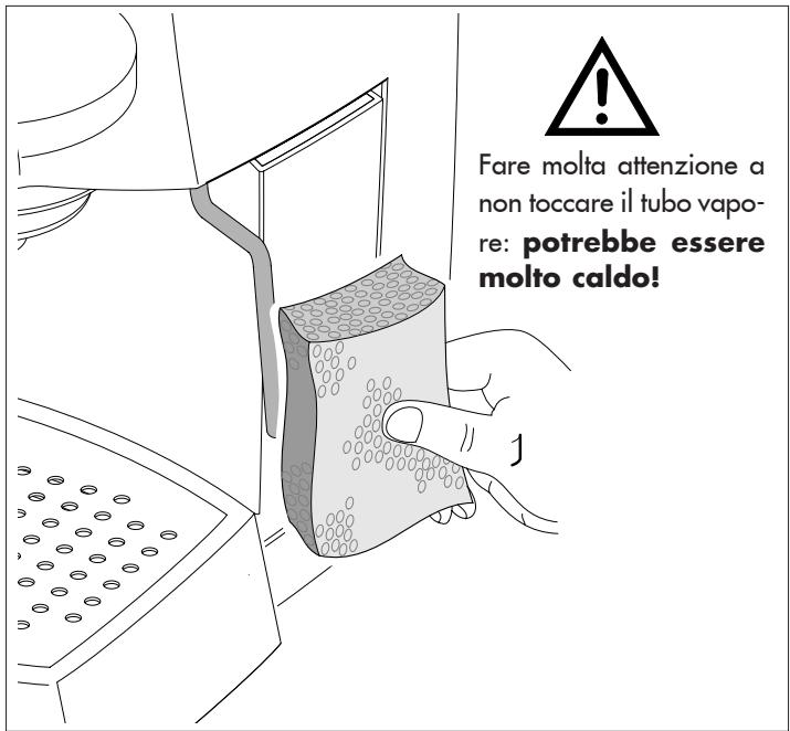 GAGGIA VIVA - Decalcificazione: - 1