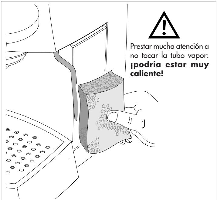GAGGIA VIVA - Descalcification: - 1