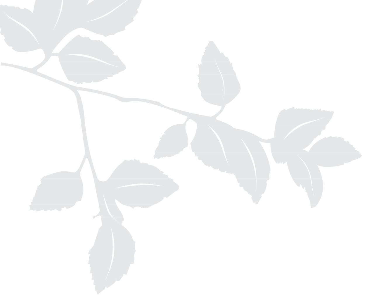 HUSKYSTAR E10 - Important : - 5