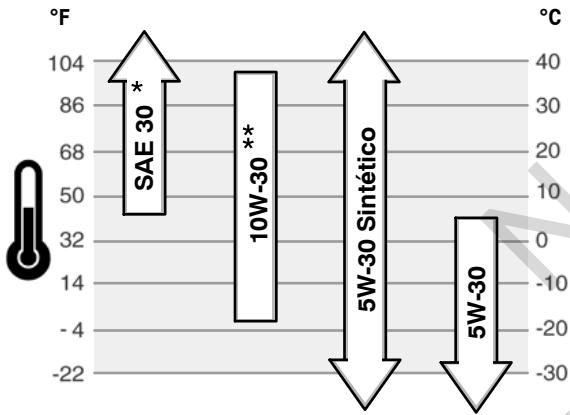 GE 490000  - REV A - Recomendaciones de Aceite - 1