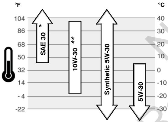 GE 610000 - Oil Recommendations - 1