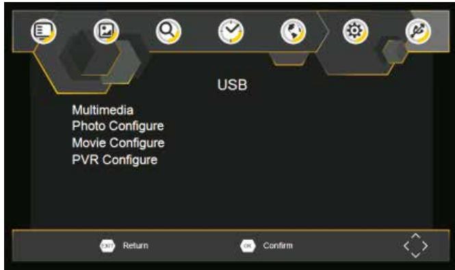 CALIBER PDVBT 101 - USB - 1